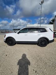 2022 Kia Telluride EX - Exterior Side Driver Image